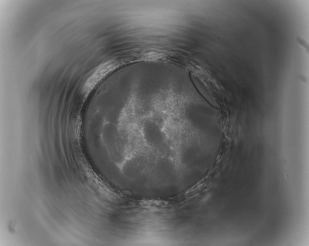 X0000102840242200808251202