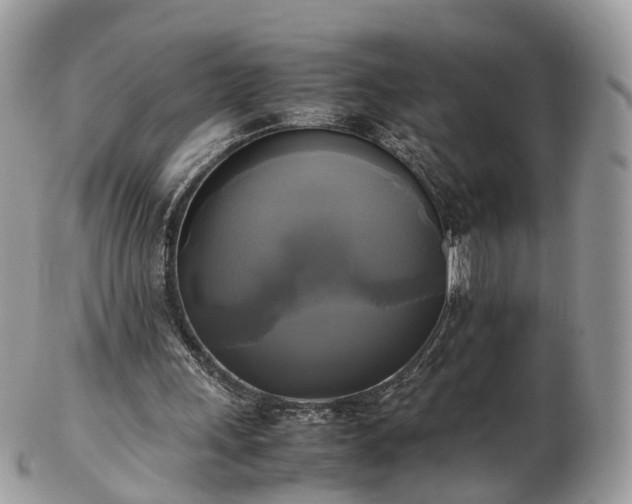 X0000102840243200808251202