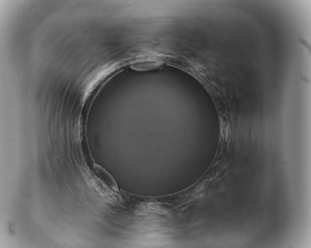 X0000102840244200808251202