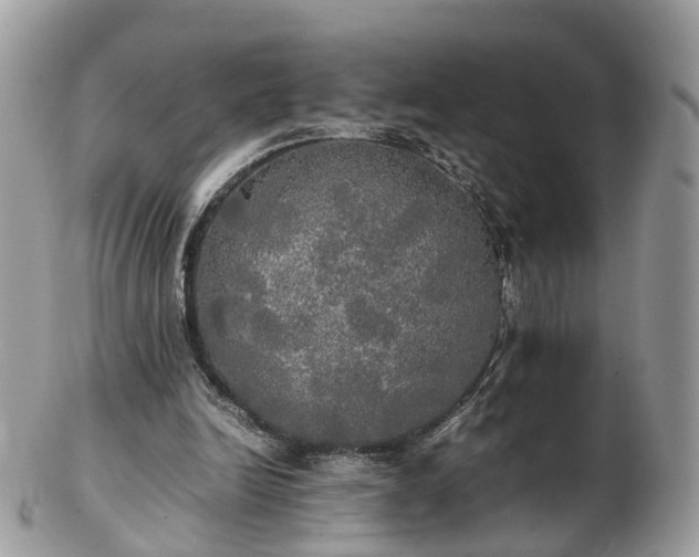 X0000102840246200808251202