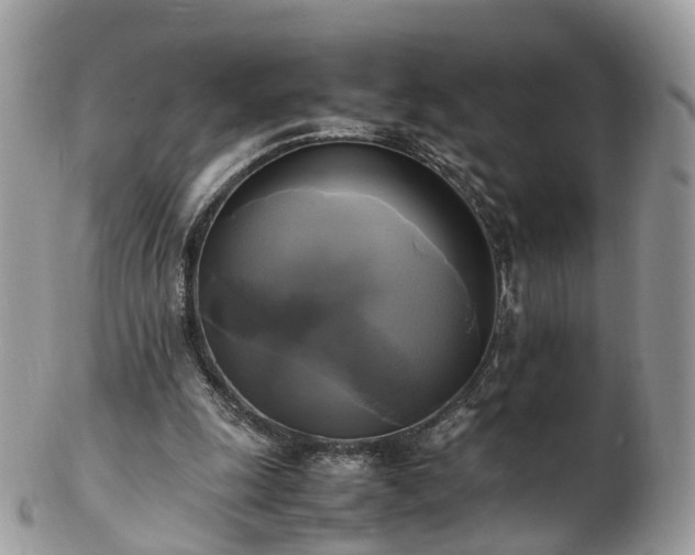 X0000102840247200808251202