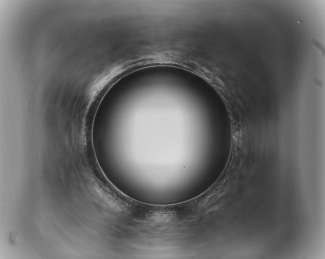 X0000102840248200808251202