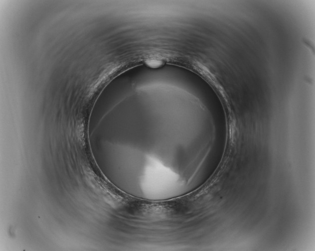 X0000102840249200808251202