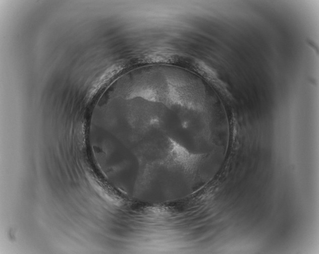 X0000102840250200808251202