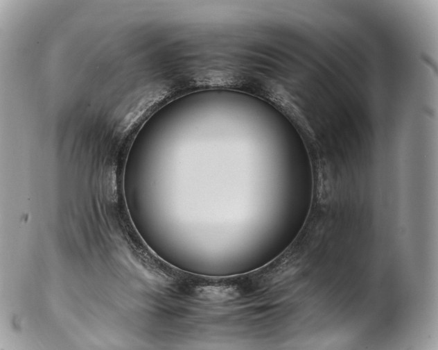 X0000102840251200808251202