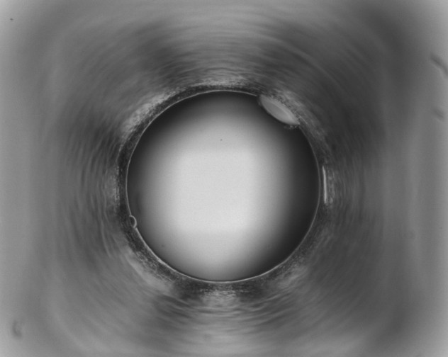 X0000102840252200808251202