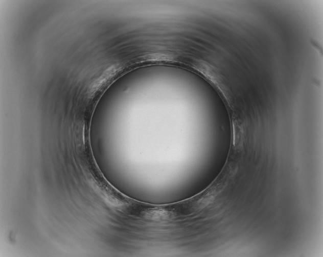 X0000102840253200808251202