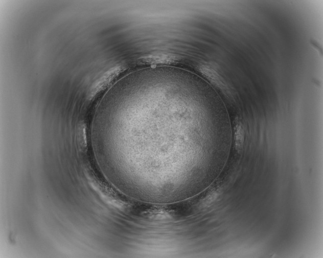 X0000102840254200808251202