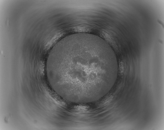 X0000102840255200808251202