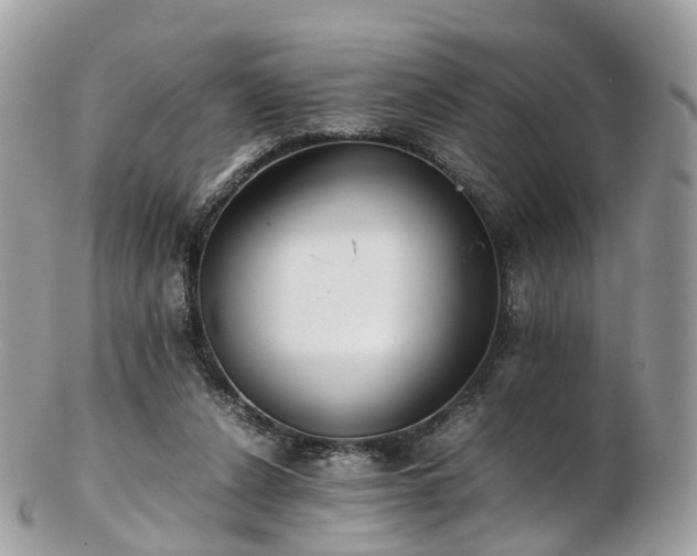 X0000102840256200808251202