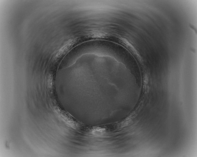 X0000102840257200808251202