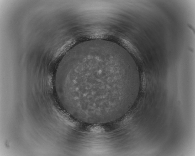 X0000102840258200808251202