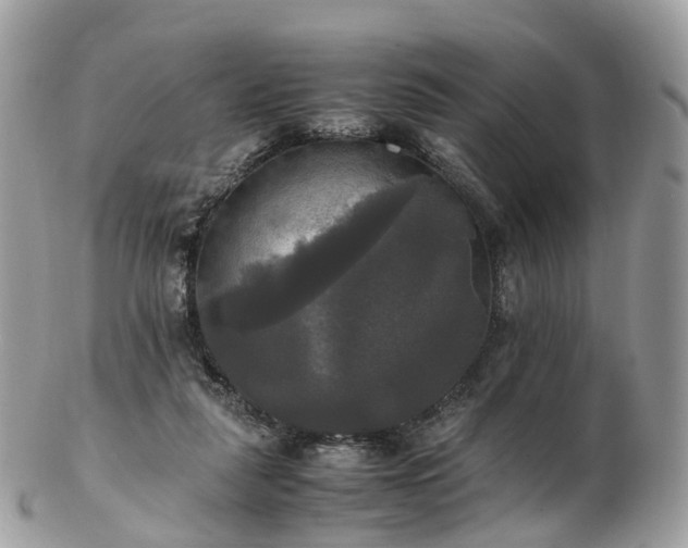 X0000102840259200808251202