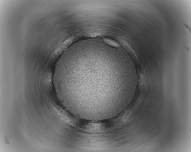 X0000102840260200808251202