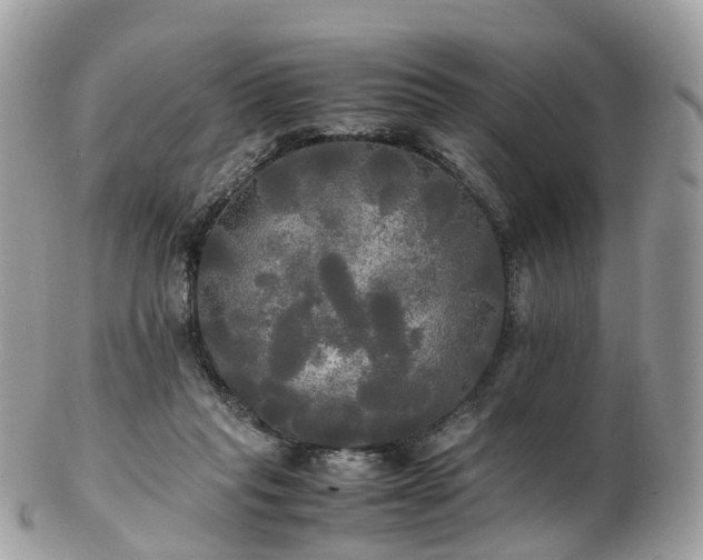 X0000102840261200808251202