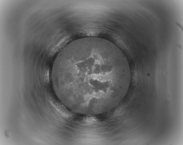 X0000102840262200808251202