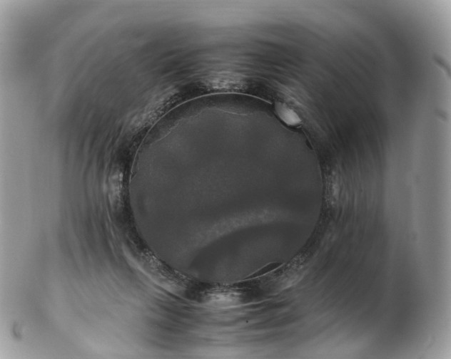 X0000102840263200808251202