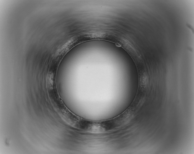 X0000102840264200808251202