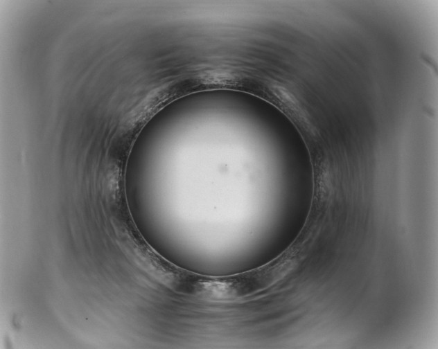 X0000102840265200808251202