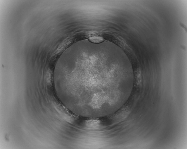 X0000102840266200808251202