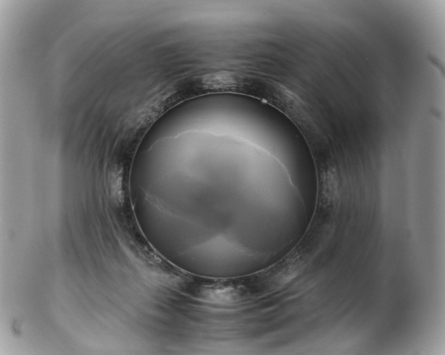 X0000102840267200808251202