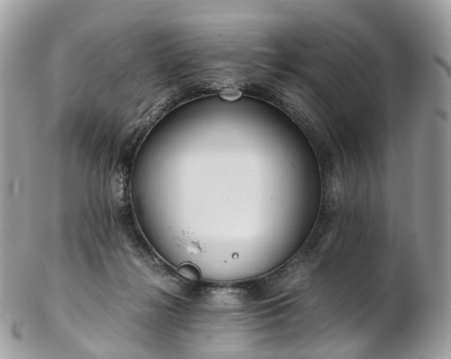 X0000102840268200808251202