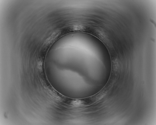 X0000102840269200808251202