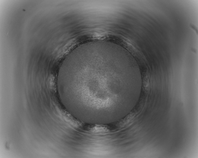 X0000102840270200808251202