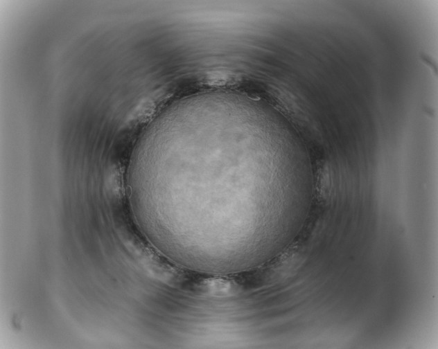 X0000102840272200808251202