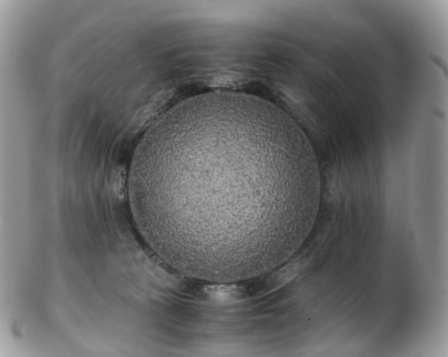 X0000102840273200808251202