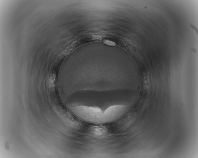 X0000102840275200808251203