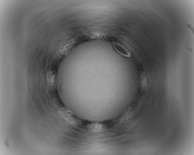 X0000102840276200808251203