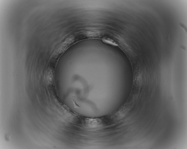 X0000102840277200808251203