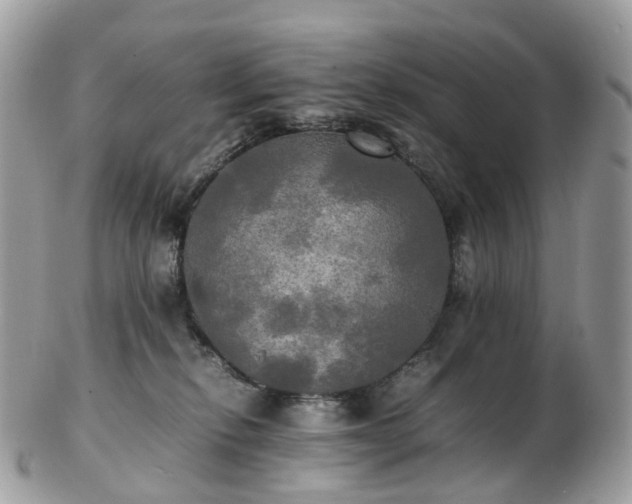 X0000102840278200808251203