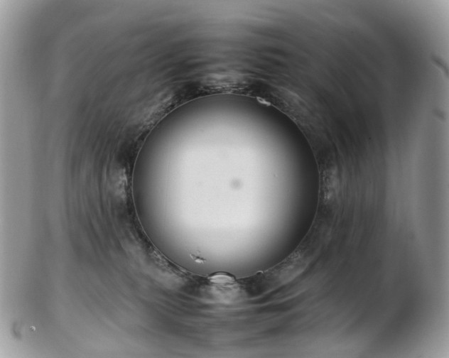 X0000102840279200808251203