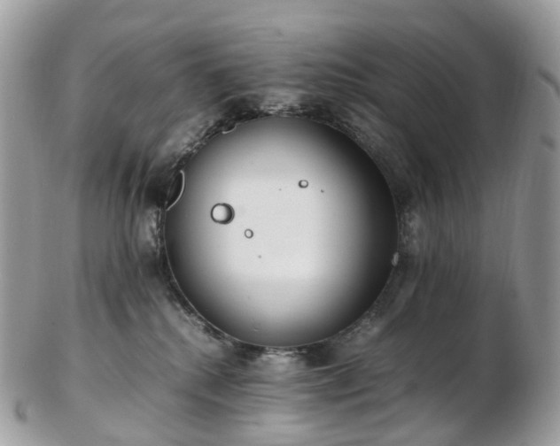 X0000102840280200808251203