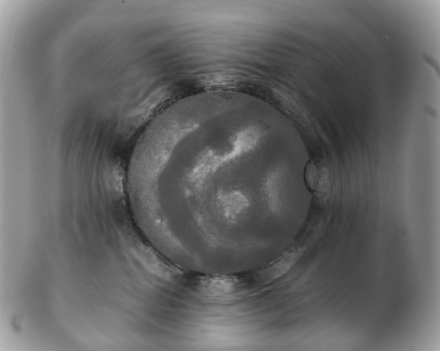 X0000102840282200808251203