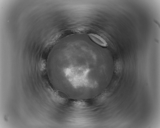 X0000102840284200808251203