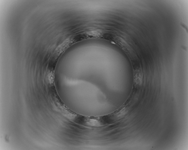 X0000102840285200808251203