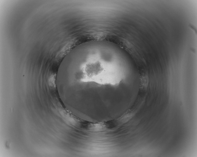 X0000102840286200808251203