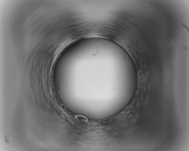 X0000102840289200808251202