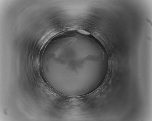 X0000102840290200808251202