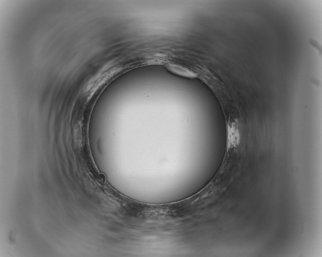 X0000102840291200808251202