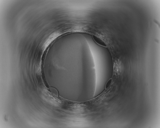 X0000102840292200808251202