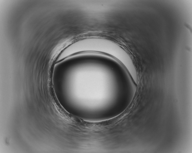 X0000102840293200808251202