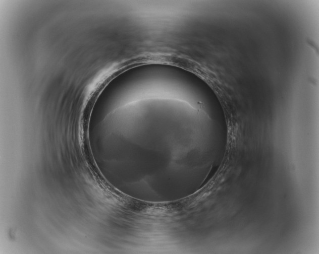 X0000102840294200808251202