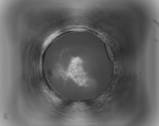 X0000102840296200808251202