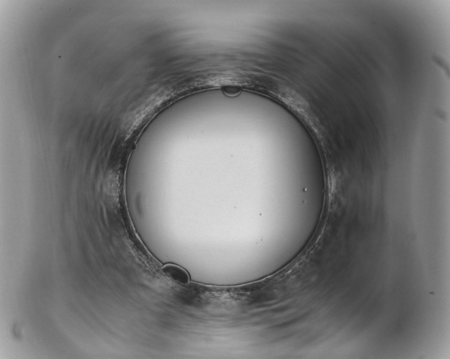 X0000102840297200808251202