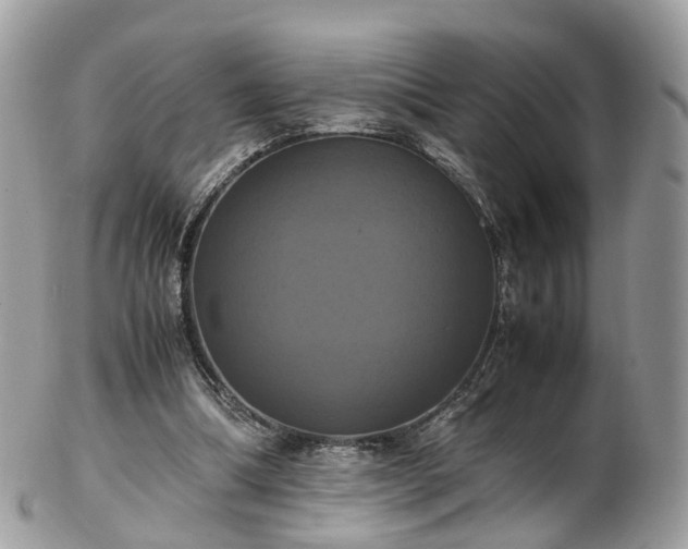 X0000102840298200808251202