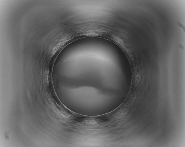 X0000102840299200808251202